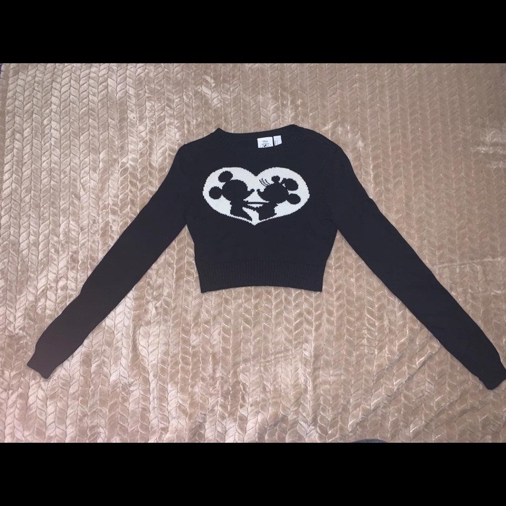 Cropped Disney Sweater